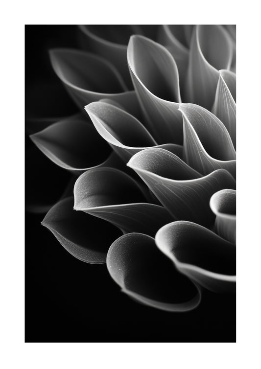 Curvature