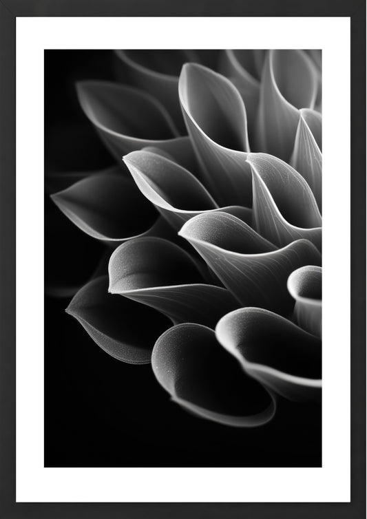 Curvature