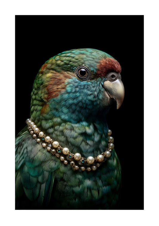 Regal Rainbow