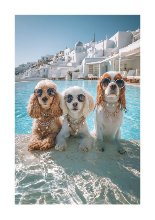 The Glam Pack