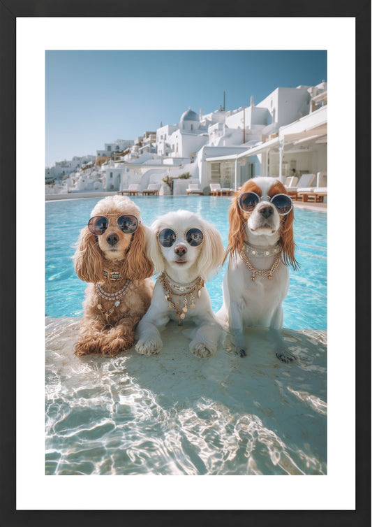 The Glam Pack