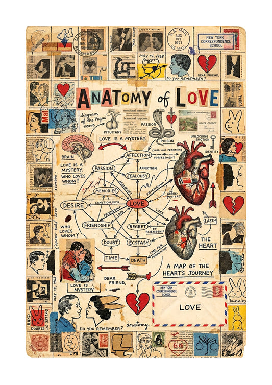 Anatomy of Love