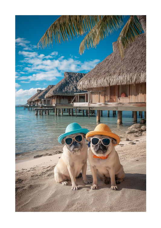 Pugs in Paradise