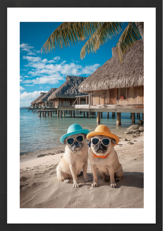 Pugs in Paradise